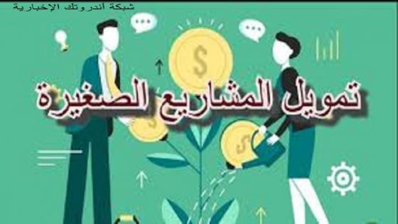 الهيئة العامة لتشجيع الإستثمار تعلن عن فتح باب التسجيل لتمويل المشاريع الصغيرة.