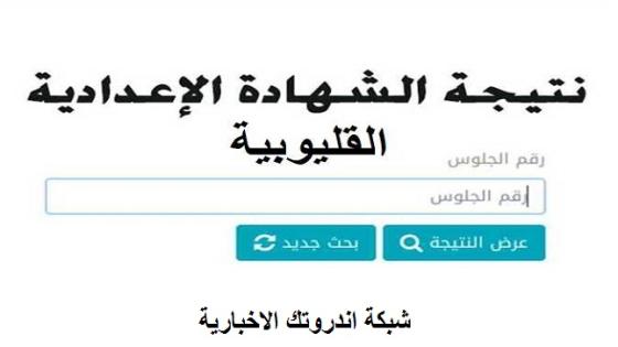 الآن برقم الجلوس .. اعرف نتيجة الثالث الاعدادي القليوبية 2023 عبر البوابة الإلكترونية لمحافظة القليوبية